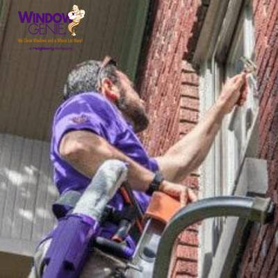 Window Genie Cleaning Franchise Opportunity USA
