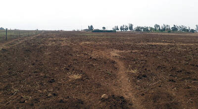 Approximately 100 Acres Flat Farm Land for Sale Near Hamilton