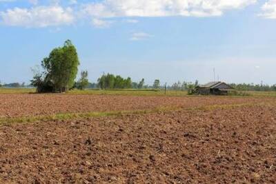 Approximately 100 Acres Flat Farm Land for Sale Near Hamilton