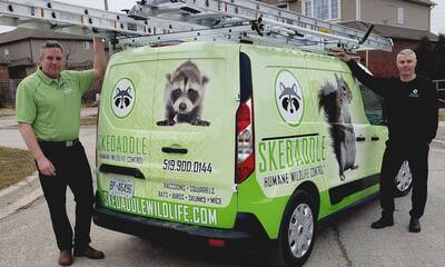 Skedaddle Humane Wildlife Control Franchise Opportunity, USA/CA