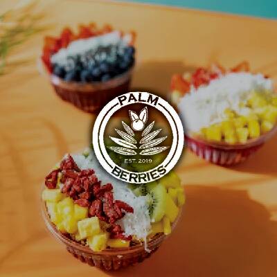 Palm Berries Franchise Opportunity