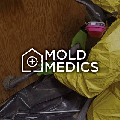 Mold Medics Franchise Opportunity in USA