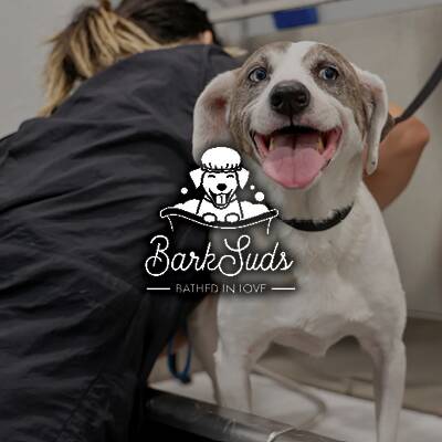 BarkSuds Bathed in Love - Pet Care & Grooming