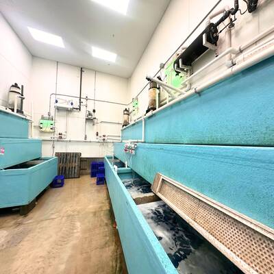 Richmond Dungeness Crab Wholesale Business for Sale!（8-12800 Bathgate Way）