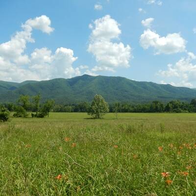 153 Acres in Niagara’s Future Employment Area!