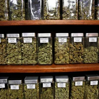 Well Known and Lucrative Cannabis Business