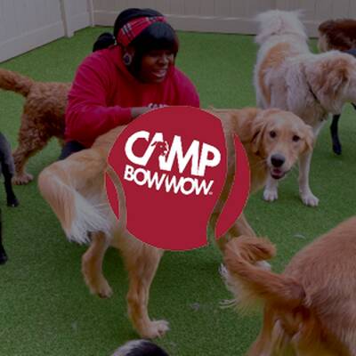 Camp Bow Wow Franchise Opportunity