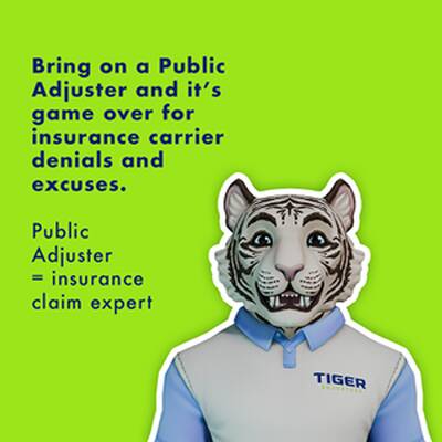 Tiger Adjusters Franchise Opportunity in USA/CA