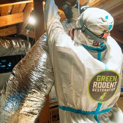 Green Rodent Restoration Franchise Opportunity in USA