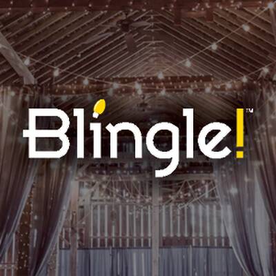 Blingle! Lighting Franchise Opportunity in USA
