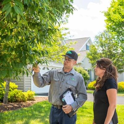 Joshua Tree Inc. Franchise Opportunity in USA