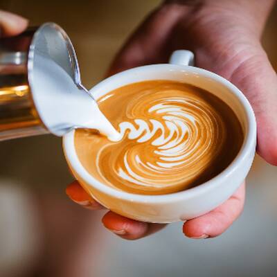 Established Artisanal Café Bakery in Downtown Toronto