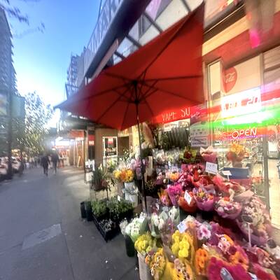 Downtown Vancouver Restaurant (1325 Robson)