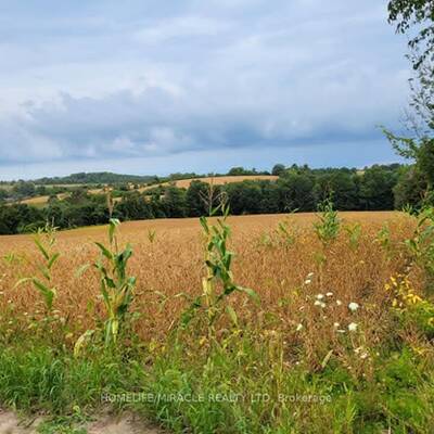 84.53 Acres Mixed Use Land For Sale in Brighton