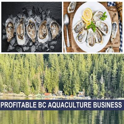 Premium BC Aquaculture Business for Sale（10100 Malaspina Rd, Powell River）