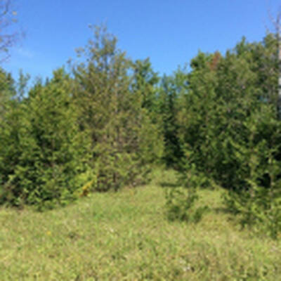 Land To Build Hotel For Sale - Upto 120 Rooms!