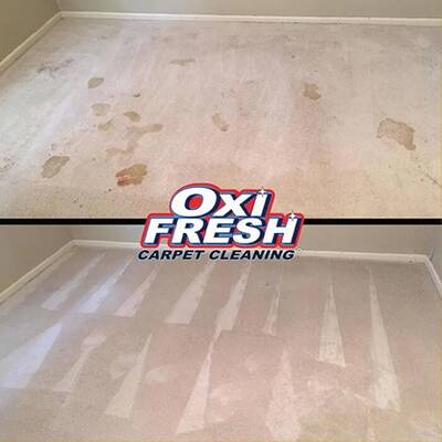 Oxi Fresh Carpet Cleaning Franchise For Sale in Toronto